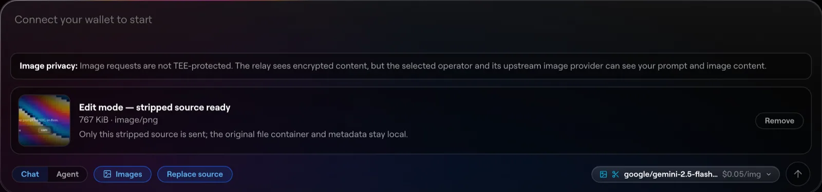 Edit mode in the Halo app: the stripped source is ready — only the metadata-free copy is ever sent, the original file stays local